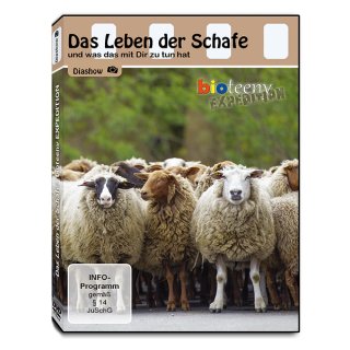 Das Leben der Schafe - Diashow (DVD)