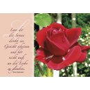 Postkarte mit roten Rosen