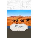 Kamel Karawane in der Wüste