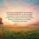 Für einen besonderen Wunsch - Geldscheinbox
