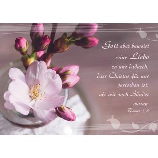 Postkarte - Kirschblüte