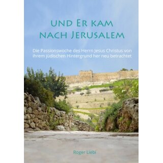 Ansicht Jerusalem im Hintergrund