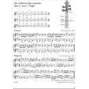 Anfang auf der Geige, Band 3