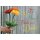 Motivkärtchen mit Blumenmotiv