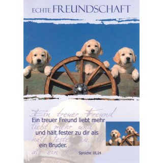 Postkarte Hunde am Wagenrad