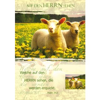 Postkarte Schafe/Blumenwiese