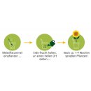 Anleitung Anwendung der Sonnenblumen Samen