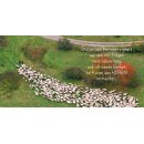 Grußheft Du hältst mich fest (mit DVD)