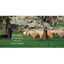 Grußheft Du hältst mich fest (mit DVD)