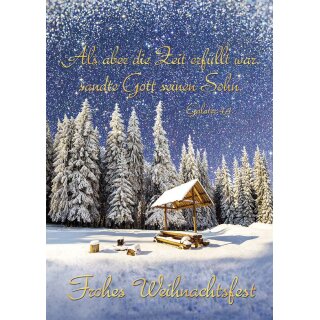 Postkarte - Als die Zeit erfüllet war