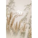 Anischt der Bibel von vorne