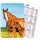 Spielkarte mit Kalendarium und der Jahreslosung 2024 als Tier-Motiv Pferde