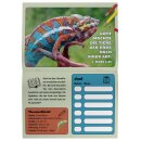 Geburtstagskalender für Kids