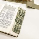 Bibel-Griffregister - Cremetöne