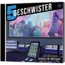 Schreck im Tonstudio - Folge 40 (Audio-CD)