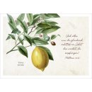 Postkarte - Zitrone