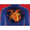 Gottes Ziel für dich