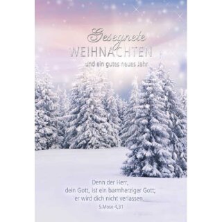 Faltkarte - Gesegnete Weihnachten