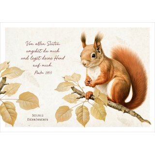 Postkarte - Niedliches Eichhörnchen