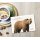 Postkarte - Braunbär