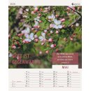 Wandkalender 2026 - Deutsch