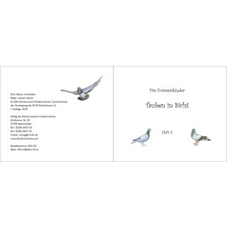 Die Kramerskinder Heft 3 - Tauben in Sicht
