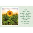 Trost und Zuversicht