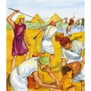 Learning to Know THE BIBLE