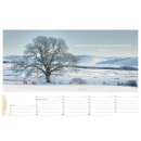 Life is more 2026 - Tischkalender
