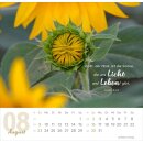 Meine Zeit 2026 - Tischkalender