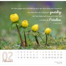 Meine Zeit 2026 - Tischkalender