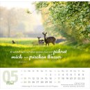 Meine Zeit 2026 - Tischkalender