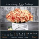 Kleine Wunder sehen 2026 - Postkartenkalender