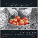 Kleine Wunder sehen 2026 - Postkartenkalender