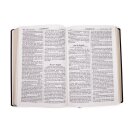 A&O Bibel mit Apokryphen - Kunstleder, Goldschnit