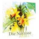 Die Narzisse - Heft 5