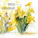 Die Narzisse - Heft 5