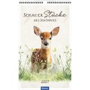 Schmuck Stücke des Schöpfers 2027 - Posterkalender
