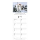 Denk dran 2027 – Streifenterminkalender