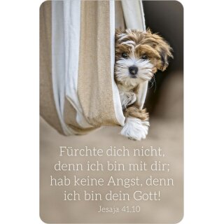 Kalenderkärtchen Hund 2027