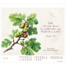 MeisterWerke des Schöpfers 2027 – Tischkalender