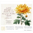 KunstWerke des Schöpfers 2027 – Minikalender