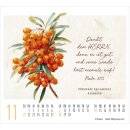 KunstWerke des Schöpfers 2027 – Minikalender