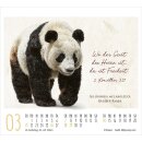 KunstWerke des Schöpfers 2027 – Minikalender