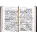 Ansicht einigen Seiten der plattdeutsche Bibel