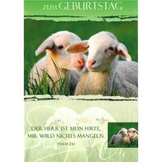 Mini-Spruchkarten - 2 Lämmlein (12 Stück)