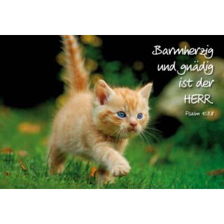 Mini-Spruchkarten - Auf Pirschgang (12 Stück)