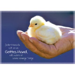 Mini-Spruchkarten - Küken (12 Stück)