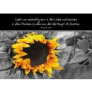 Postkarte mit Sonnenblumenmotiv