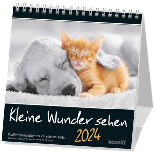 Kleine Wunder sehen 2022 - Postkartenkalender